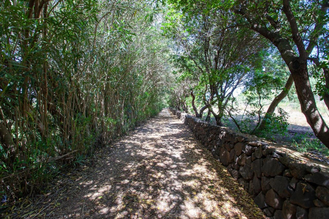 Gamma 1 Holiday home Orosei
